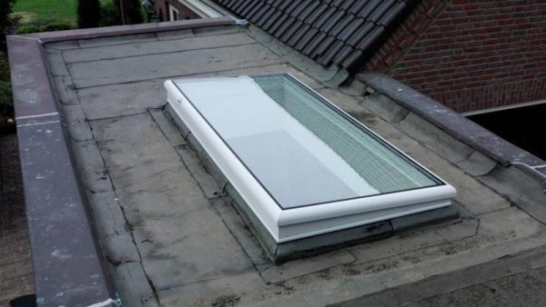 Exuvent.Greenlite - Image 3